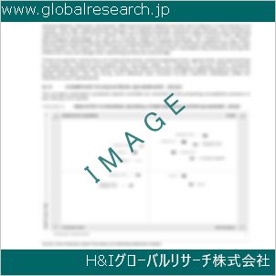 グローバルリサーチ調査資料のイメージ